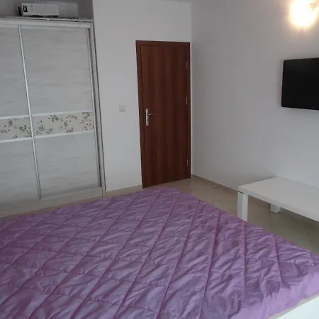 Oasis Lila * Лозенец