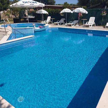Oasis Lila Lozenec